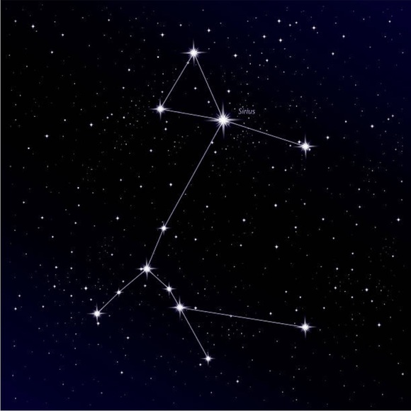 Meet your Posher, Katherine - Picture 1 of 1